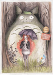 her neighbour totoro by Chowkarou