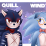 Sonics triplets (fan kids)