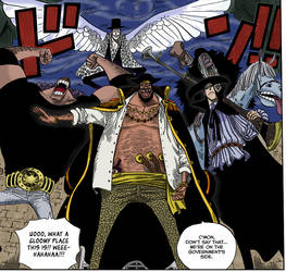 The Blackbeard Pirates colored