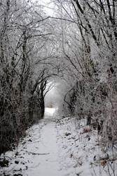 Road to Narnia