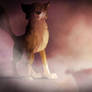 The Wolf's Way
