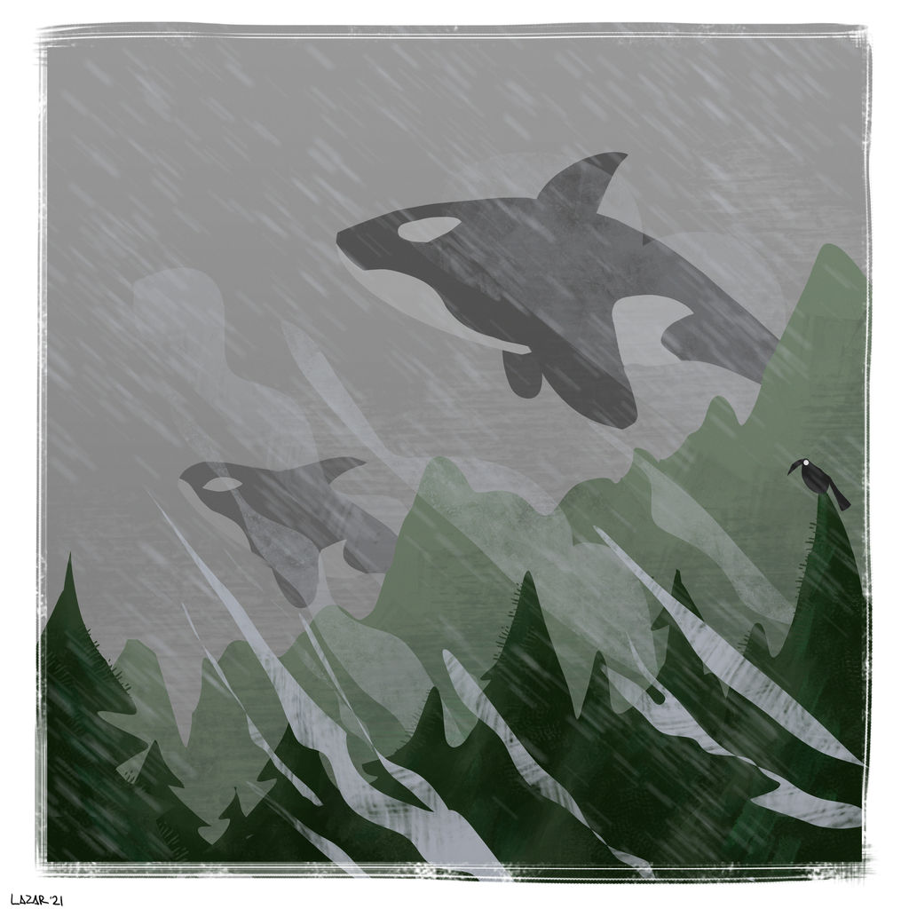 Have you Ever Seen the Rain