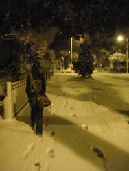 A Walk Home In The Snow At 2am