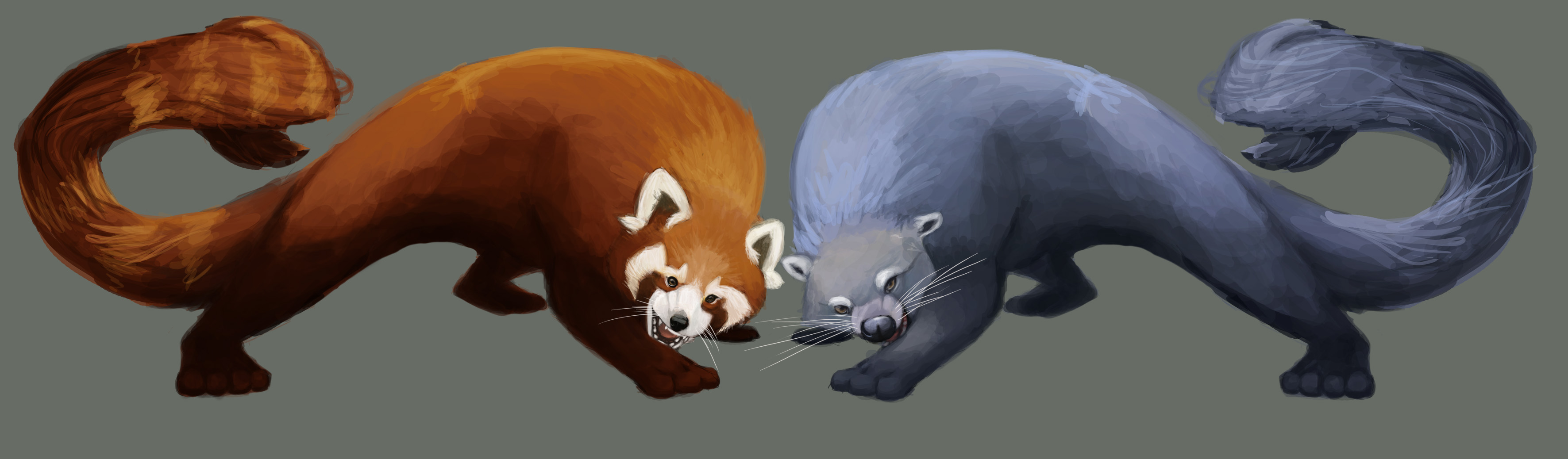 red panda and binturong