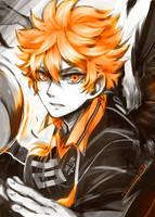 Haikyuu - Shouyou Hinata