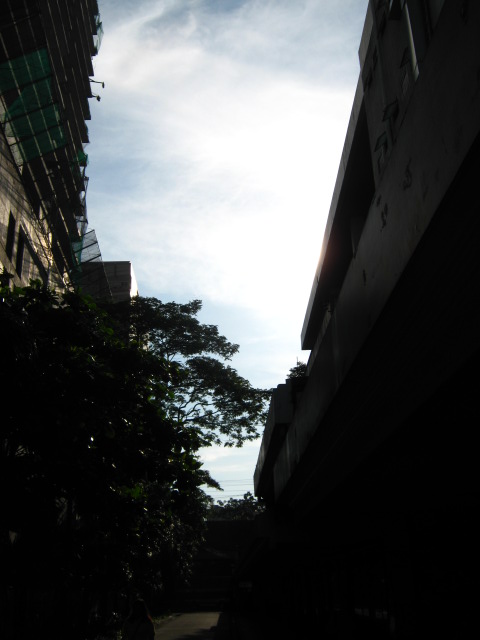 Alley 1