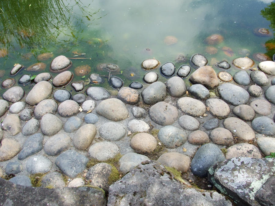 Pond Rock by OctoberEclipse on DeviantArt