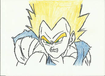 Vegeta (2)