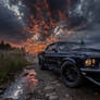 Black Mustang at Dusk