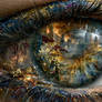 The Memory Eye