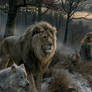 The Wild Guard