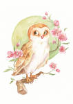 Flowery Owl