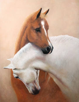 Horse love