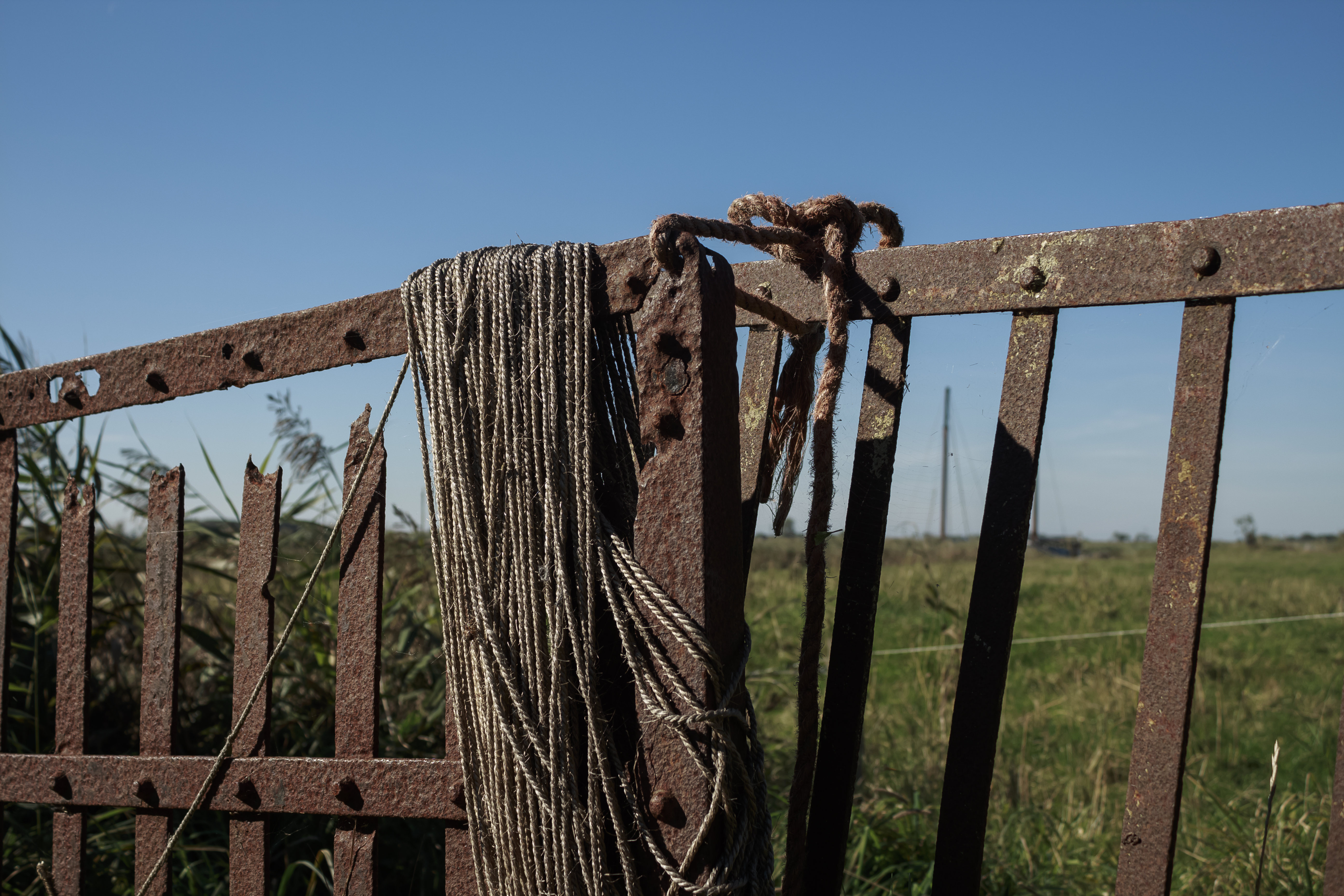 Rusted Fence with a Rope