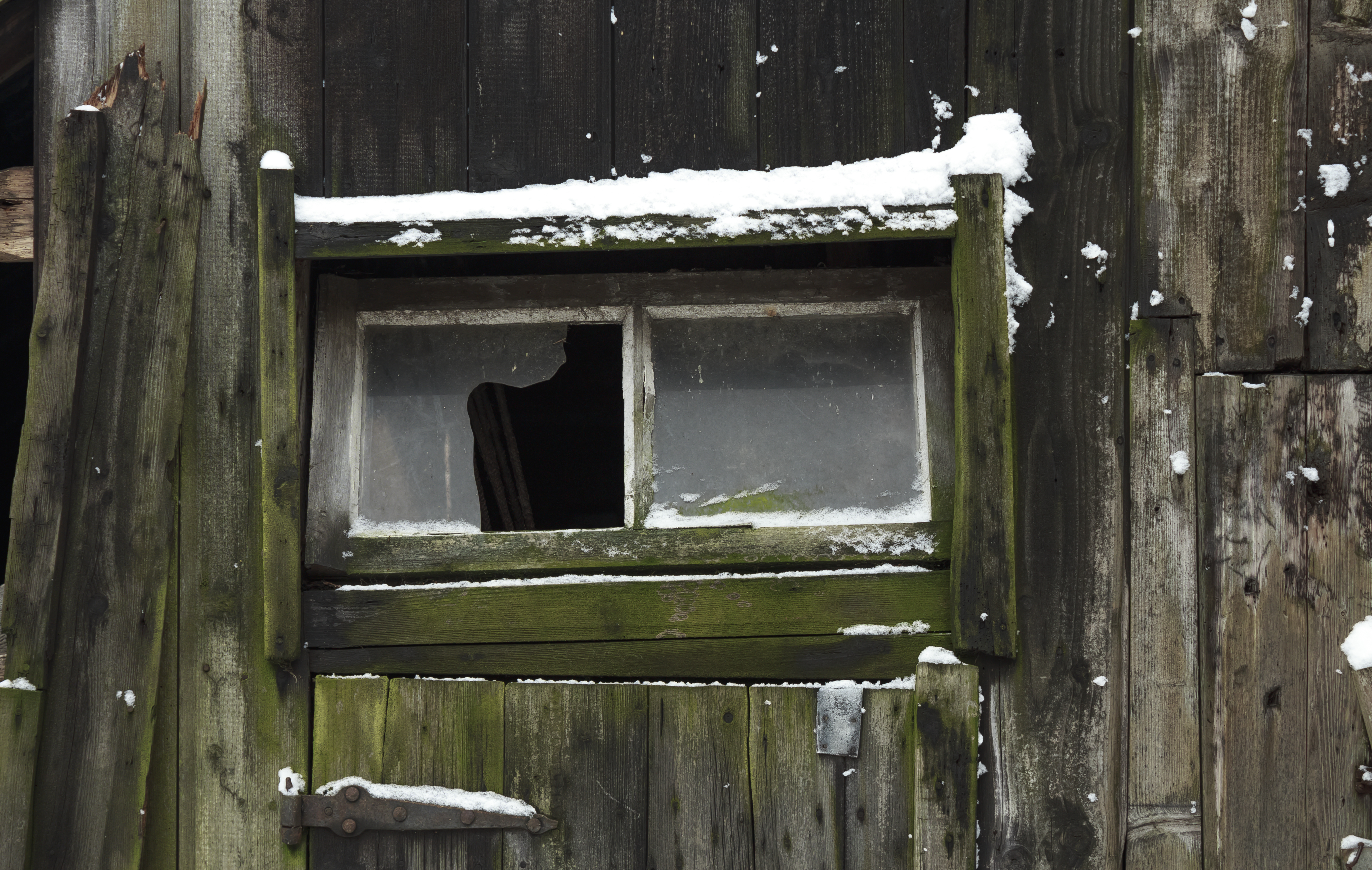 Old Shed Window