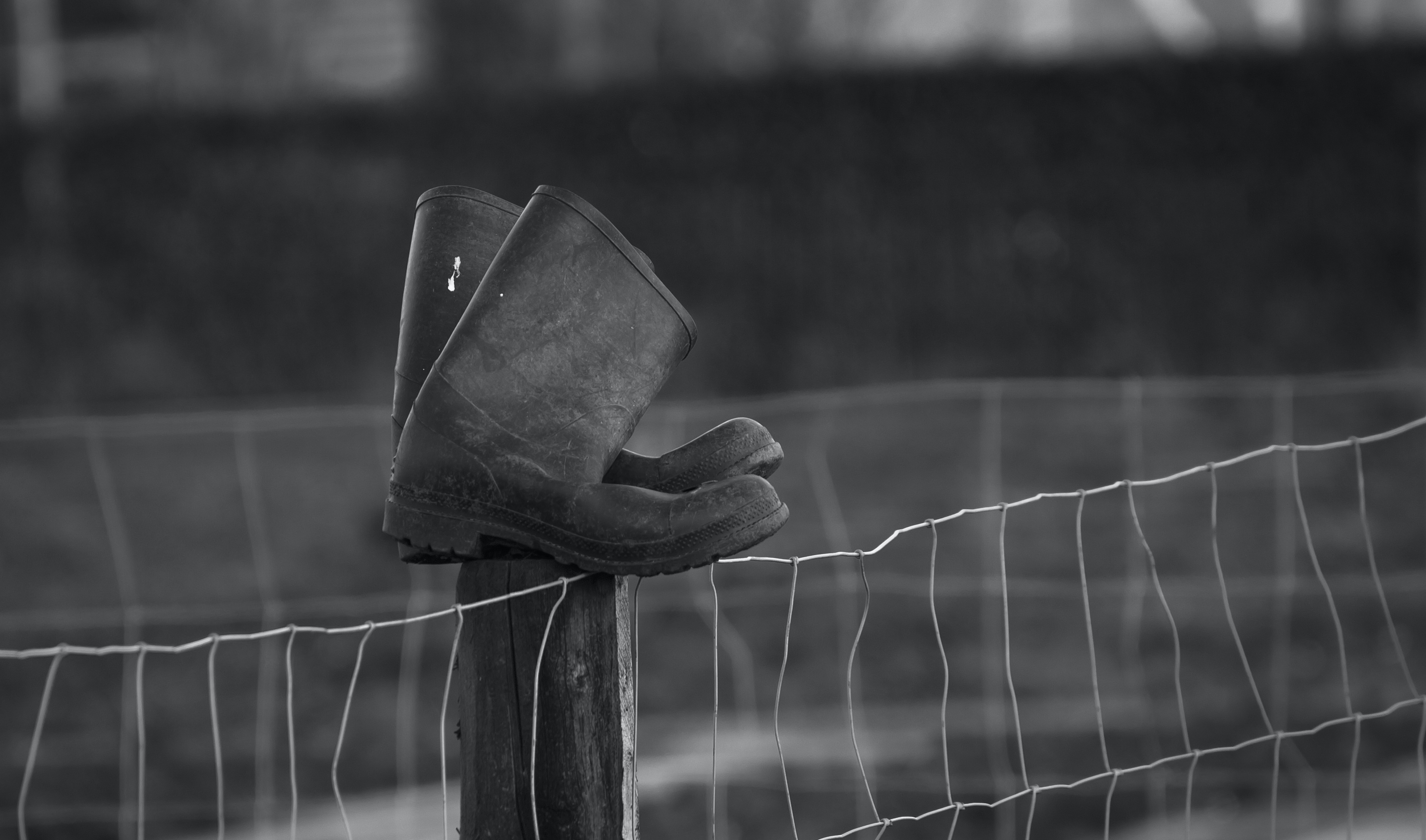 Working Boots (bw)