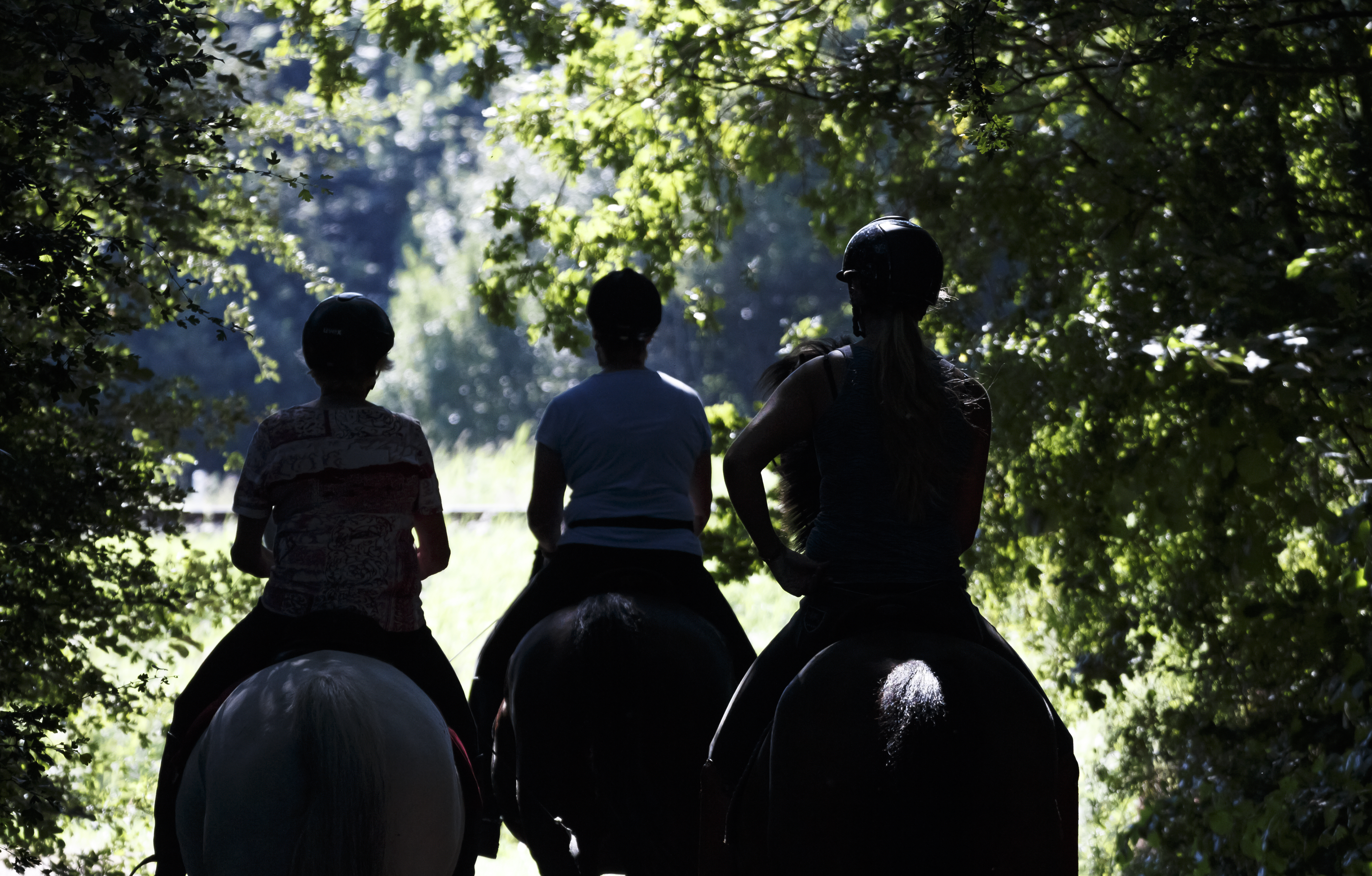 Horse Riders