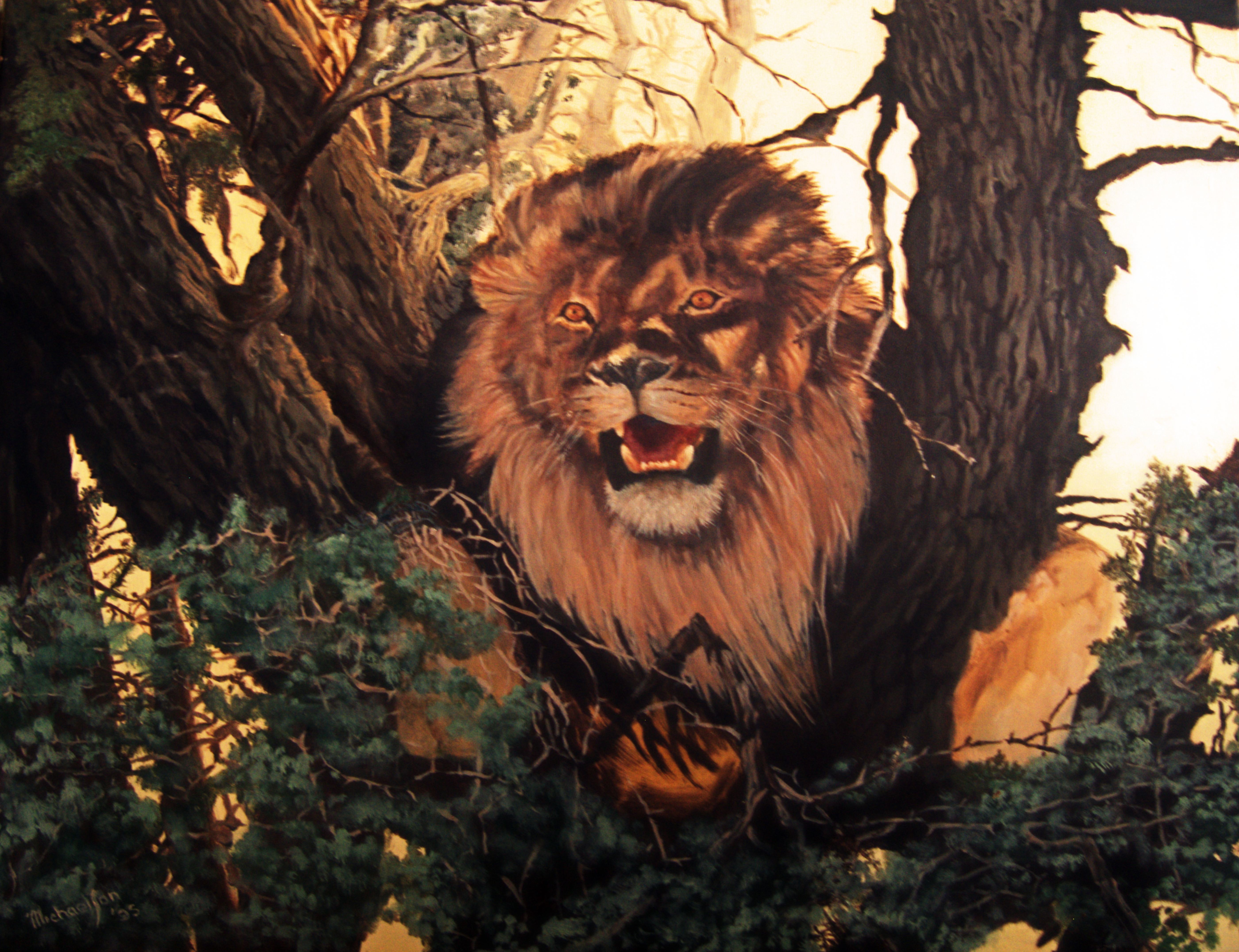 Lion Around by michael jon