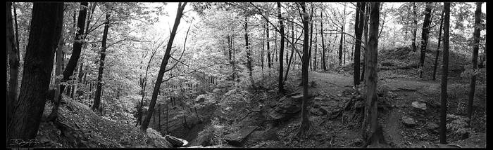 Black and White Panorama IR