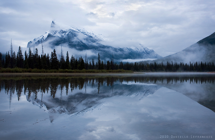 The Morning Rundle