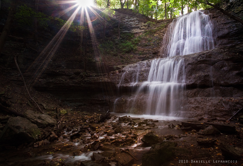 Morning Rays