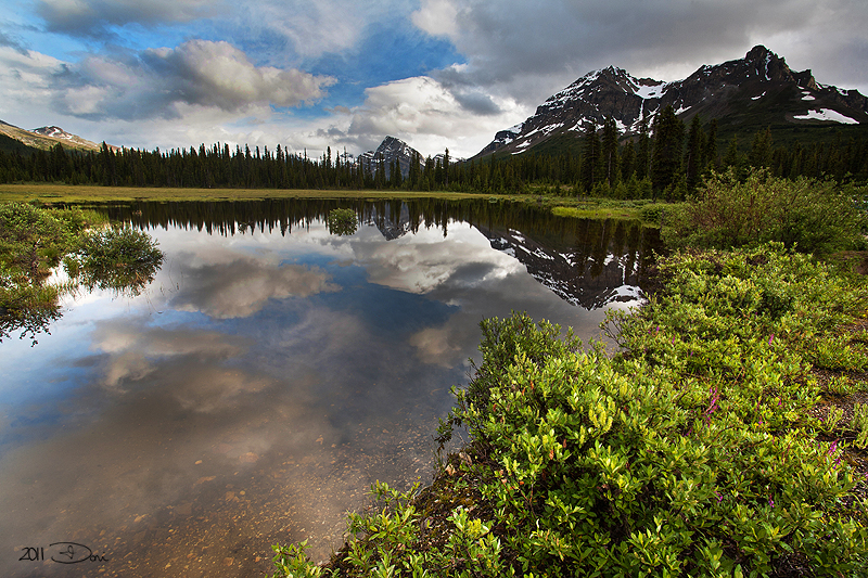 Peaceful Stillness