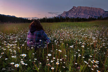 Sitting On Thistles by Dani-Lefrancois