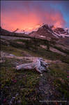 Mt Athabasca by Dani-Lefrancois