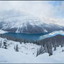 Peyto Pano