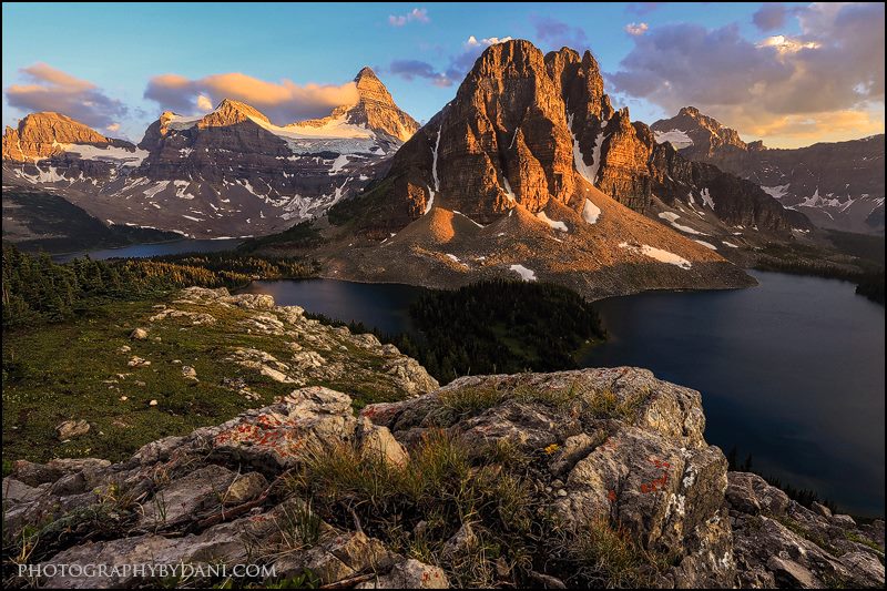 Astonishing Assiniboine