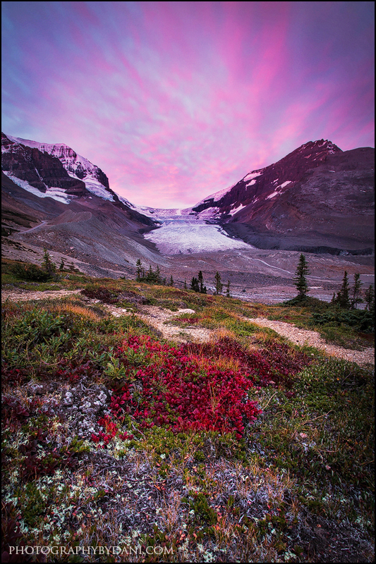 Colourful Tundra