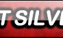 Commission: Pokemon Lost Silver Fan