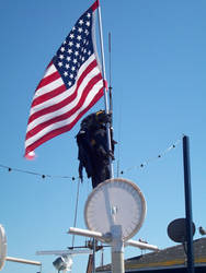 The Parrot and The Flag