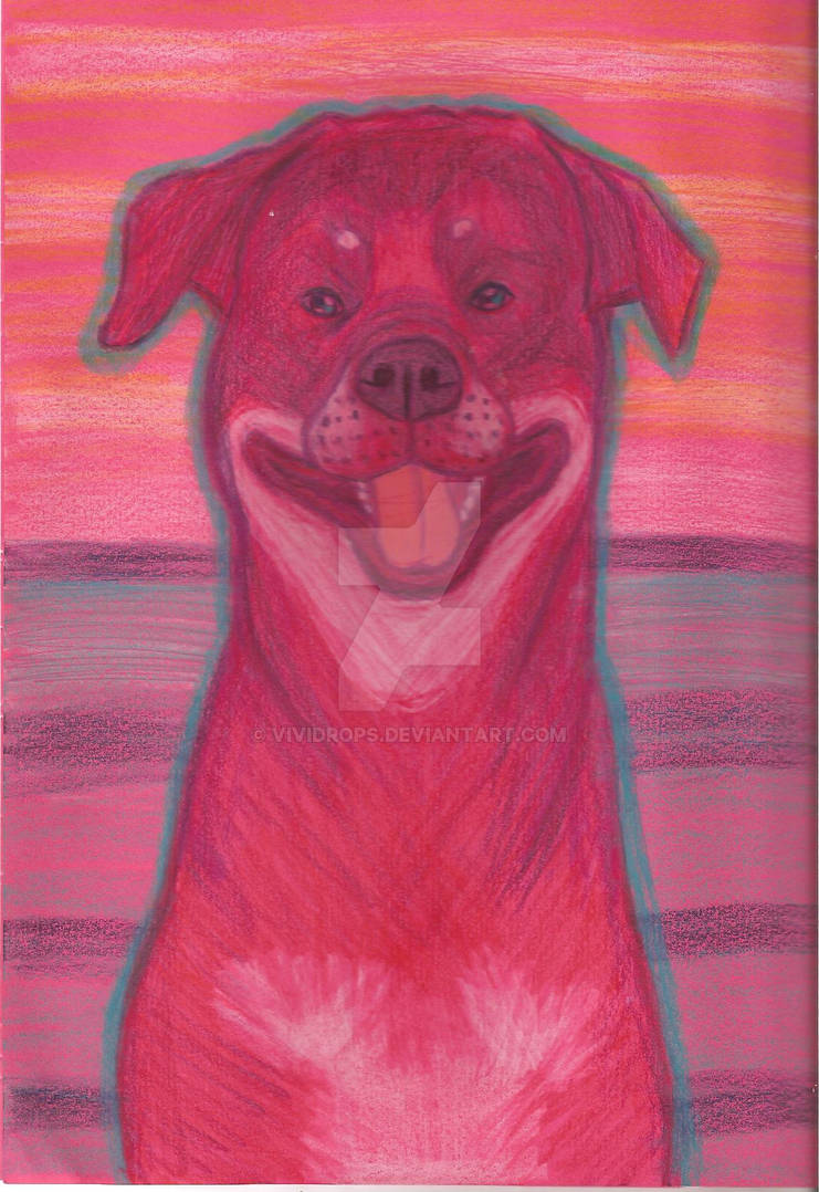 Pink Rottweiler by Vividrops on DeviantArt