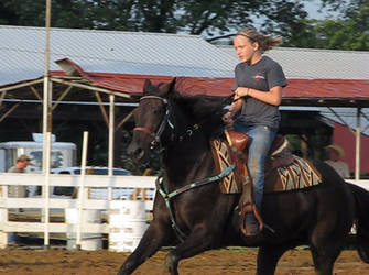 Standardbred Barrel Racing