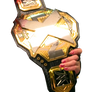 NEW NXT Women's Championship (for shoulder)