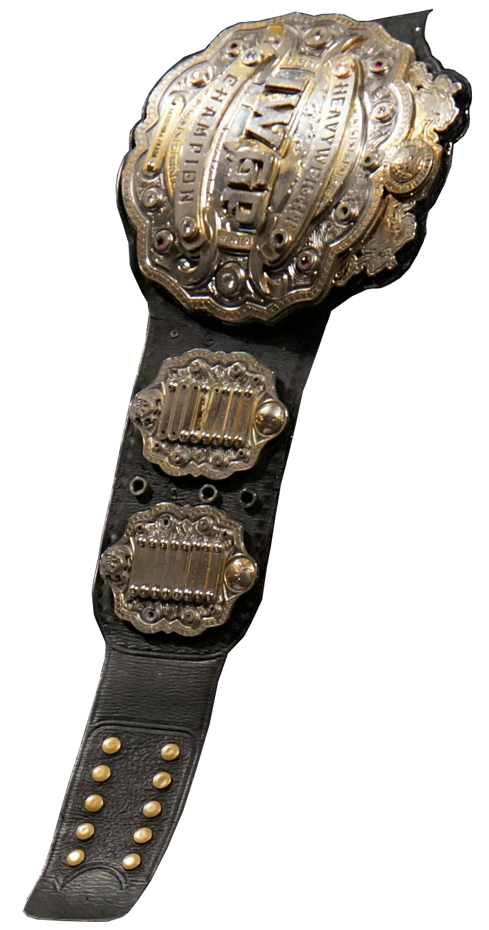 Iwgp 2024 heavyweight championship