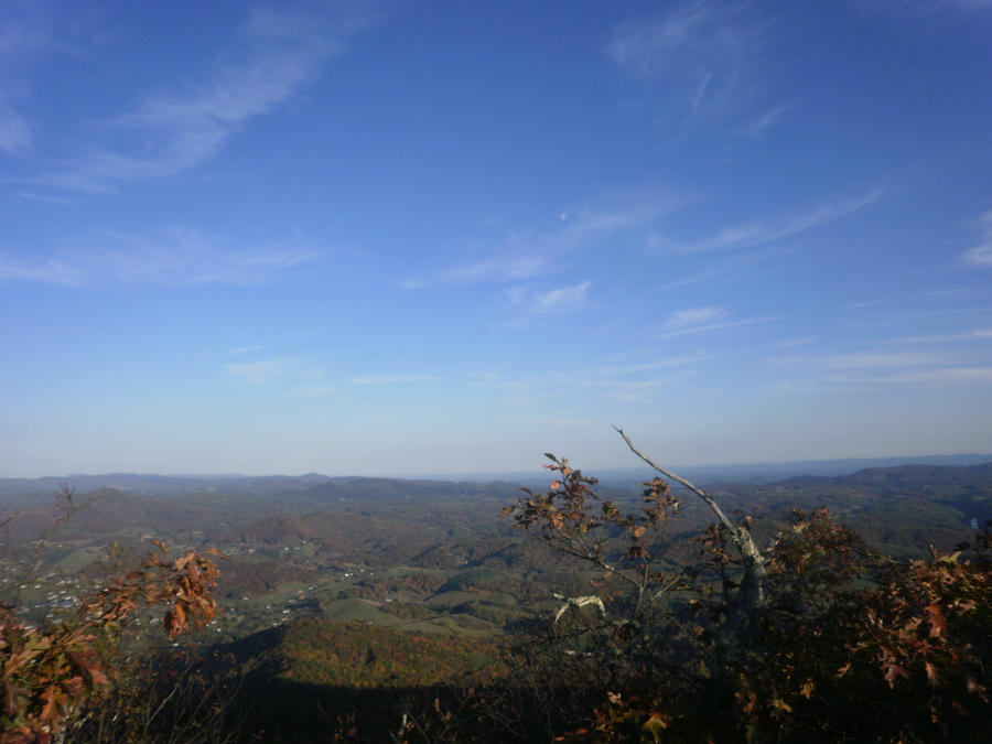 The Valley Below