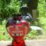 poison heart bottle