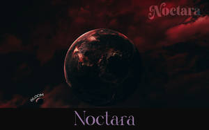Noctara