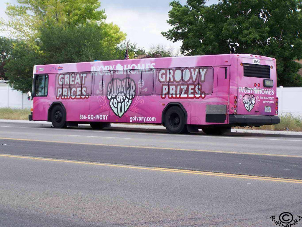 Pink Bus