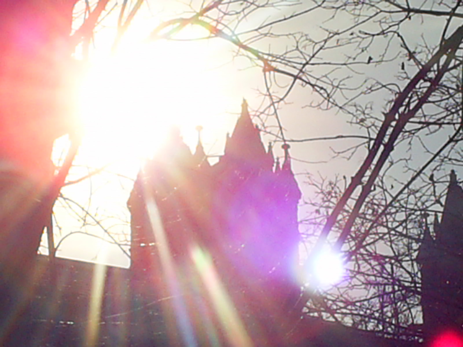 Cathedral Sun
