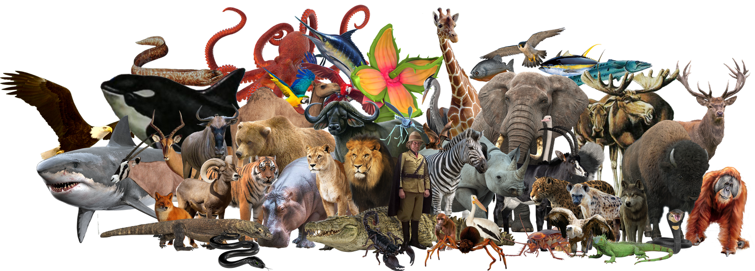 Van Pelt and his army by conthauberger on DeviantArt