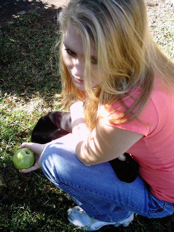 Feeding the Animals