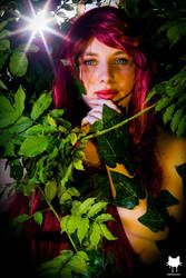 Poison Ivy #16