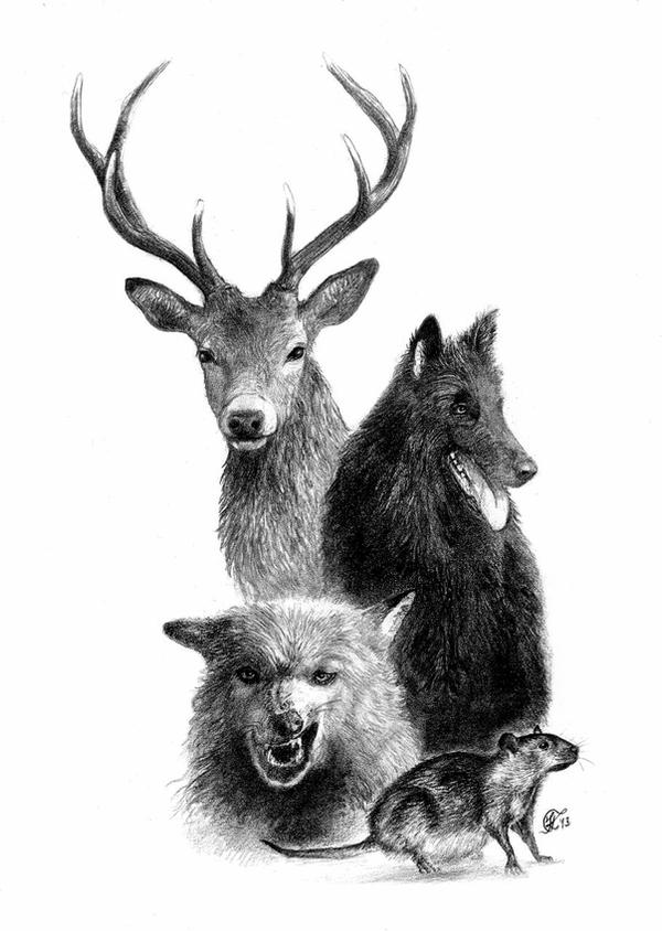 Messrs. Moony, Wormtail, Padfoot, and Prongs