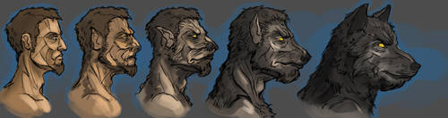 Werewolf transformation