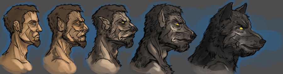 Werewolf transformation by Andy-Butnariu on DeviantArt