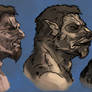 Werewolf transformation 2