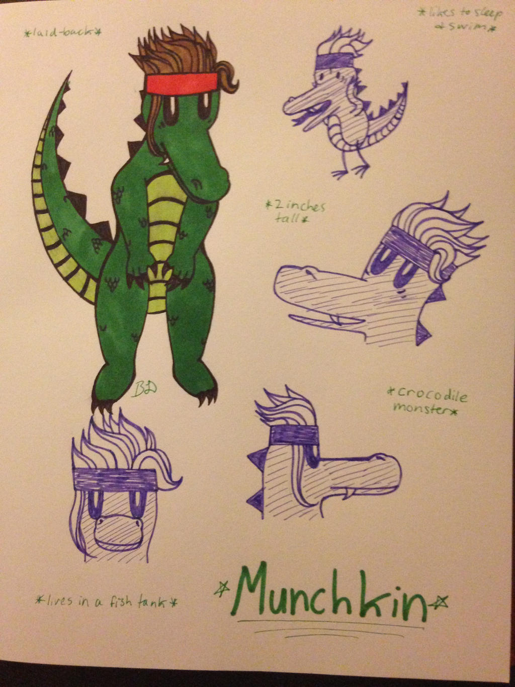 Munchkin Character Sheet By Doomedkelpie On DeviantArt